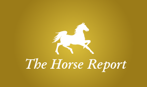 Horse Report, Equestrian News, advertising, Horse Trainers, Vet Farrier, Horse Stud and Breeding
